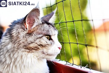 Siatki Bełchatów - Siatka na balkony dla kota i zabezpieczenie dzieci dla terenów Bełchatowa