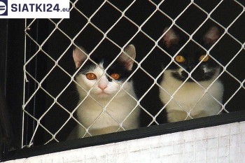 Siatki Bełchatów - Dobra siatka balkonowa - na ptaki i dla kota dla terenów Bełchatowa