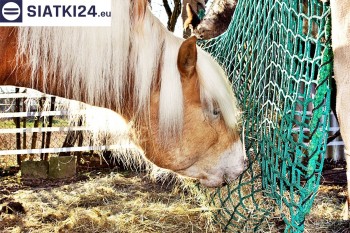 Siatki Bełchatów - Worek na siano dla koni - siatka oczko 4,5cm gr.3mm dla terenów Bełchatowa